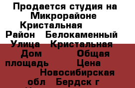 Продается студия на Микрорайоне, Кристальная 15/1. › Район ­ Белокаменный › Улица ­ Кристальная › Дом ­ 15/1 › Общая площадь ­ 21 › Цена ­ 1 180 000 - Новосибирская обл., Бердск г. Недвижимость » Квартиры продажа   